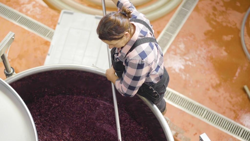 Maceration and Alcoholic Fermentation